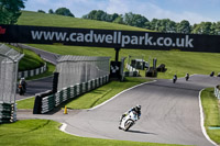 Lower Group White Bikes